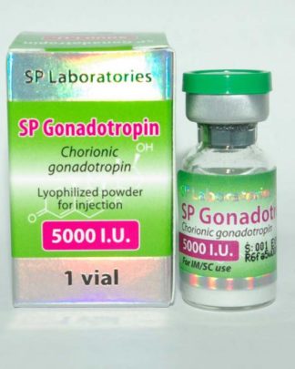 Gonadotropin (Pregnyl / HCG / Human Chorionic Gonadotropin)
