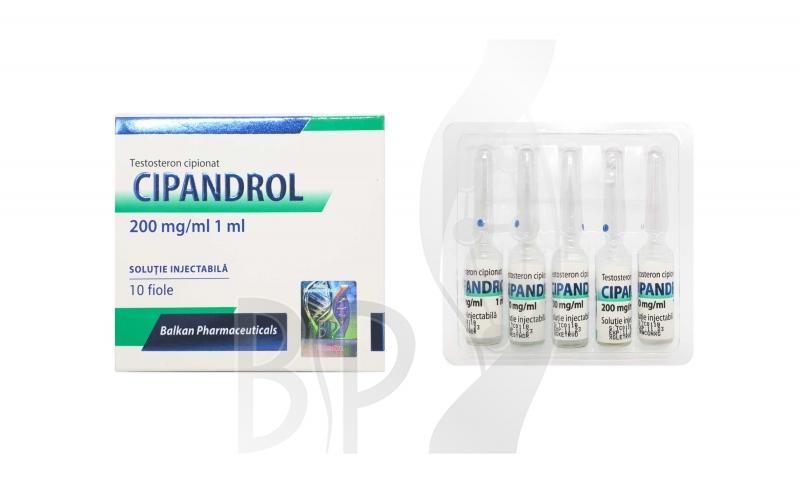 cipandrol CIPANDROL (Testosterone Cypionate)
